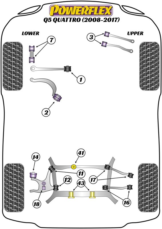 Front Lower Radius Arm to Chassis Bush Caster Adjustable